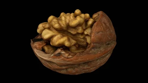 Rotating Cracked Walnut on Transparent Background (Looping with Alpha Channel) Video stock 97759359