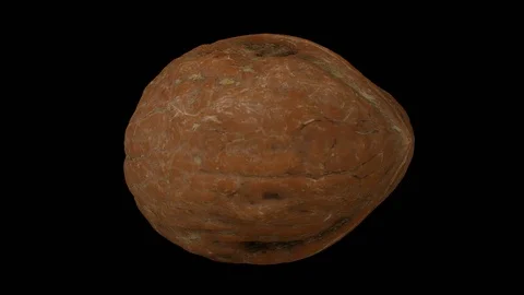 Rotating Cracked Walnut on Transparent Background (Looping with Alpha Channel) Video stock 97760020