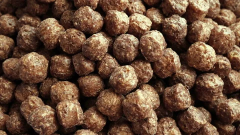 Rotating Cuckeys of Cacao. Stock Footage 90913010