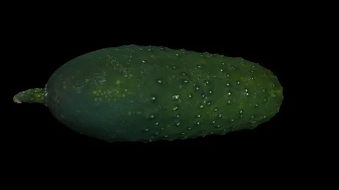 Rotating Cucumber on Black Background (Looping) Stock Footage 93377460