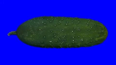 Rotating Cucumber on Blue Background (Looping) Stock Footage 93377504