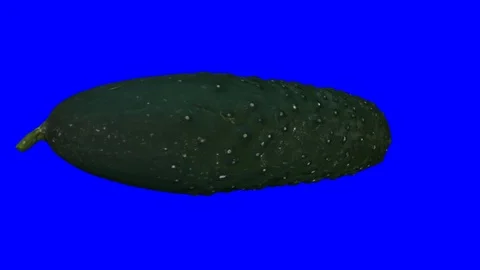 Rotating Cucumber on Blue Background (Looping) Stock Footage 93377531
