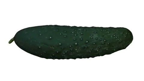 Rotating Cucumber on White Background (Looping) Stock Footage 93377453