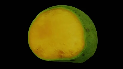 Rotating Cut Green Mango on Black Background (Looping) Stock Footage 146817653