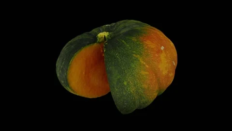 Rotating Cut Green Pumpkin on Black Background (Looping) Stock Footage 147560001