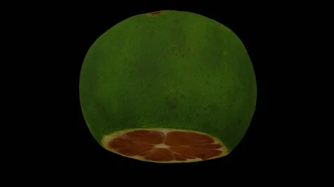 Rotating Cut Lime on Black Background (Looping) Video stock 146815183