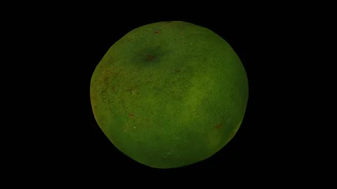 Rotating Cut Lime on Black Background (Looping) Stock Footage 146815335