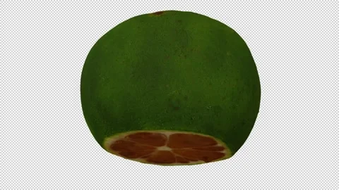 Rotating Cut Lime on Transparent Background (Looping with Alpha Channel) Stock Footage 146815169
