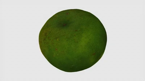 Rotating Cut Lime on Transparent Background (Looping with Alpha Channel) Stock Footage 146815319