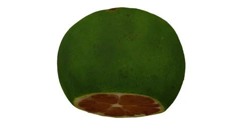 Rotating Cut Lime on White Background (Looping) Stock Footage 146815200