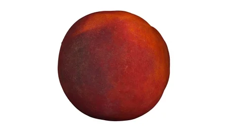 Rotating Cut Peach on White Background (Looping) Stock Footage 97753658