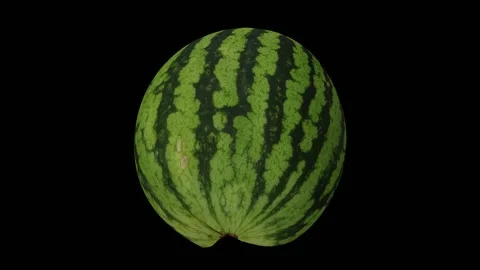 Rotating Cut Watermelon Black Background (Looping) Stock Footage 146878151