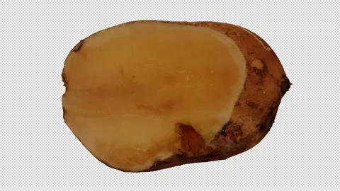 Rotating Cut Yacon on Transparent Background (Looping with Alpha Channel) Stock Footage 149446704