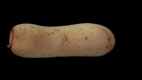 Rotating Daikon on Black Background (Looping) Stock Footage 93378910