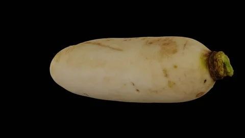 Rotating Daikon on Black Background (Looping) Stock Footage 150237803