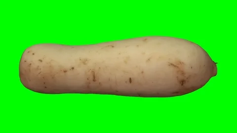 Rotating Daikon on Green Background (Looping) Stock Footage 93378889