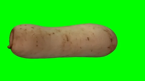 Rotating Daikon on Green Background (Looping) Stock Footage 93378923