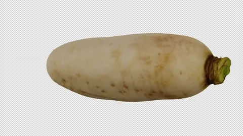 Rotating Daikon on Transparent Background (Looping with Alpha Channel) Stock Footage 150237410
