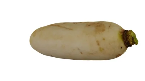 Rotating Daikon on White Background (Looping) Stock Footage 150237818