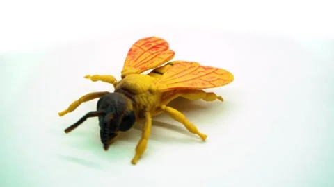 Rotating display of a realistic toy bee on a clean white background, captur.. Stock Footage 342019309