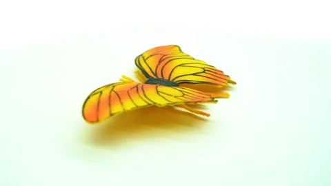 Rotating display of a realistic toy butterfly on a clean white background, .. Stock Footage 342018523
