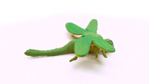 Rotating display of a realistic toy dragonfly on a clean white background, .. Stock Footage 342018492