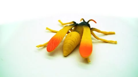 Rotating display of a realistic toy wasp on a clean white background, captu.. Stock Footage 342019328