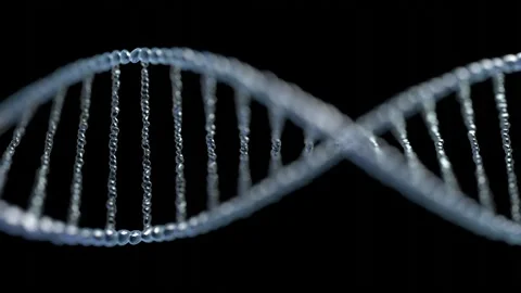 Rotating DNA chain. 3D animation in 4k resolution (3840 x 2160 px).  Stock Footage 141781090