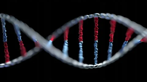 Rotating DNA chain. 3D animation in 4k resolution (3840 x 2160 px).  Stock Footage 141972615