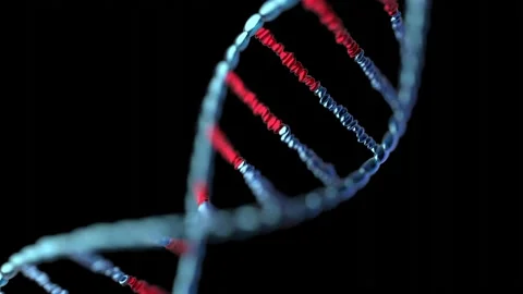 Rotating DNA chain. 3D animation in 4k resolution (3840 x 2160 px). Video stock 142038768