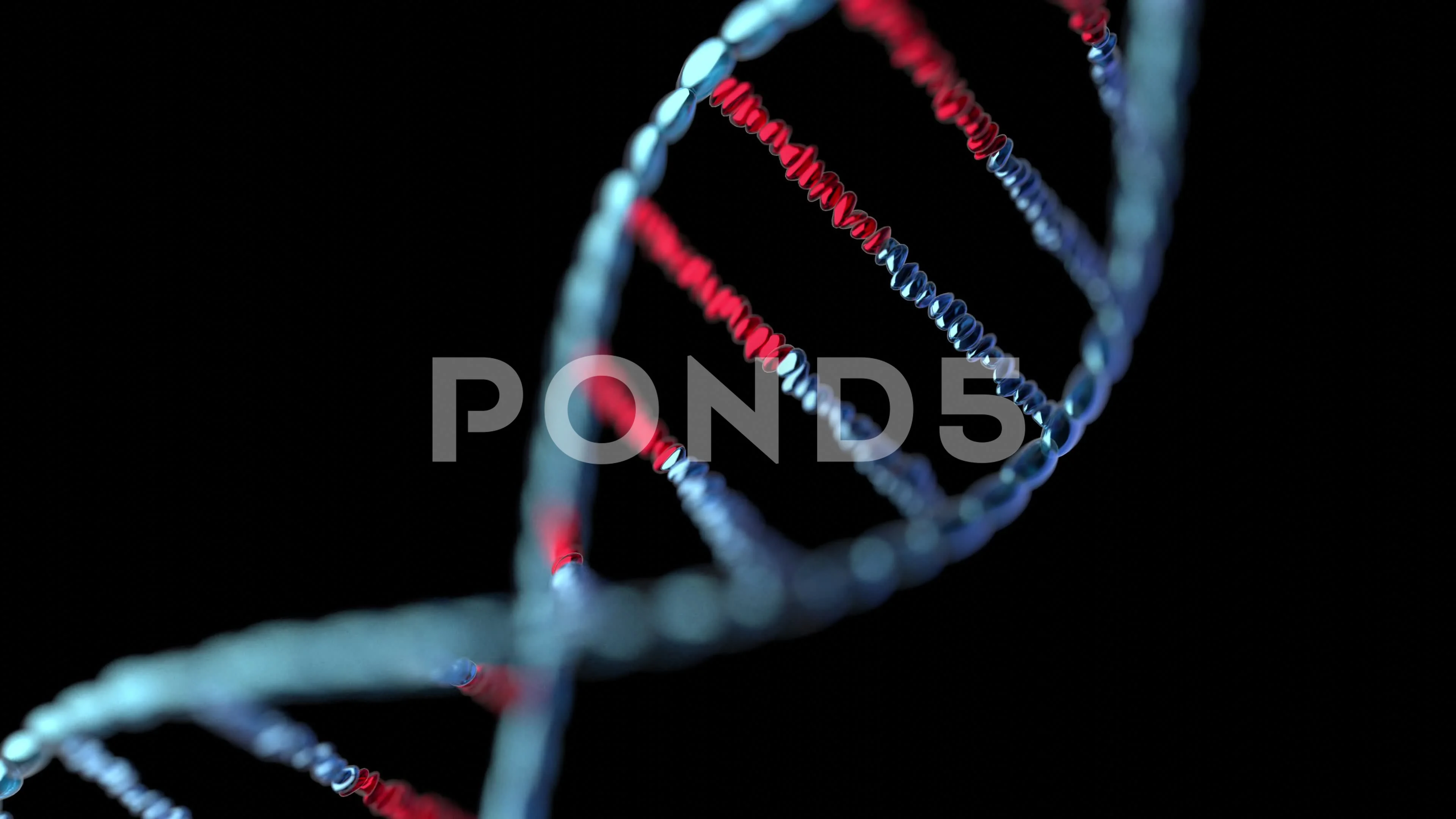 pond5
