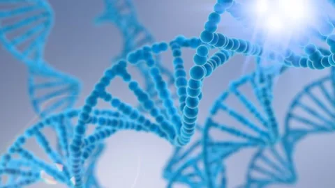 Rotating DNA Double Helix Animation – Genetics and Biotechnology Concept Stock Footage 328299212