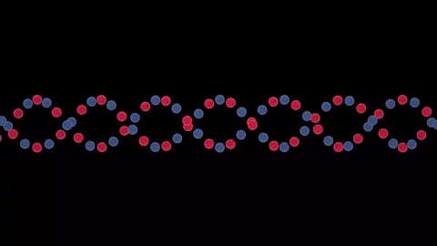 Rotating DNA Double Helix Animation with Red and Blue Spheres Seamless Loop Stock Footage 341776951