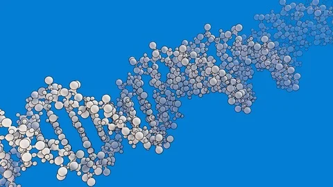 Rotating dna double helix, line art Stock Footage 88748277