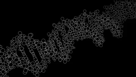 Rotating dna double helix, line art Stock Footage 88748398