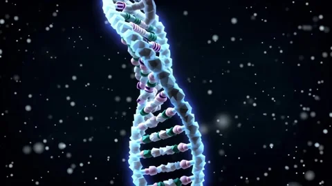 Rotating DNA Double Helix Molecular Visualization Stock Footage 331863592