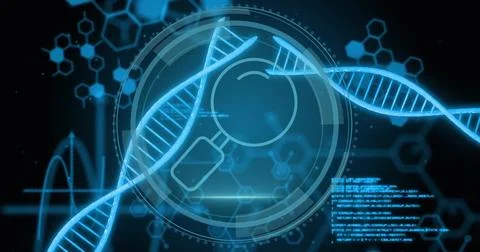 Rotating DNA double helix strand hovering over interface, showing HUD, molecular Stock Photos