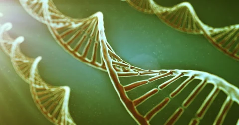 Rotating DNA 스톡 동영상 49448578