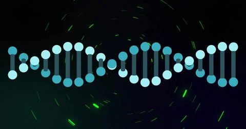 Rotating DNA helix featuring circular nodes and rods in digital space, with neon Stock Photos