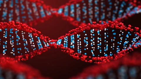 Rotating DNA helix Stock Footage 55278437