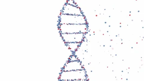 Rotating DNA Helix Made of Red and Blue Particles – 3D Animation Stock Footage 307976001