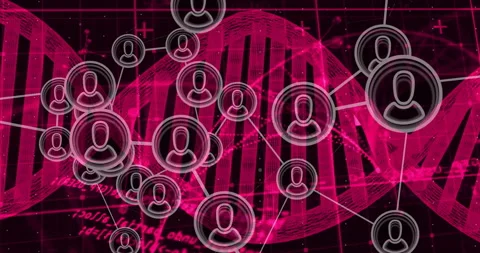 Rotating DNA helix triggers 3D network nodes emerging and connecting for Stock Footage 313617721