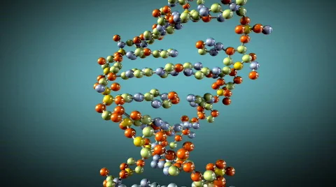 Rotating DNA, loop-able Stock Footage