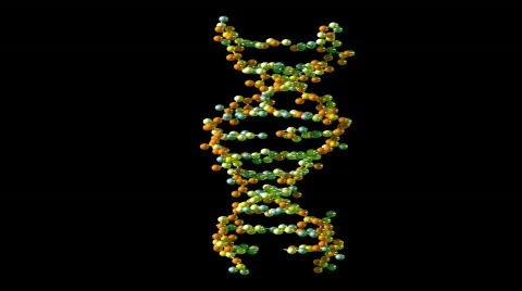 Rotating DNA , loop 動画素材 629280