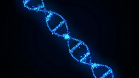 Rotating DNA model on a dark background Stock Footage 172212919