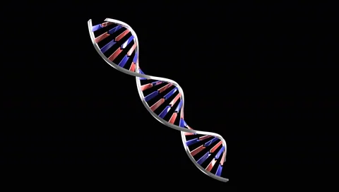 Rotating DNA molecule on black, looped Stockbeeldmateriaal 62022977