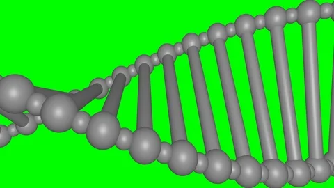 Rotating DNA molecule. Closeup. Green Screen. Stock Footage 90943963