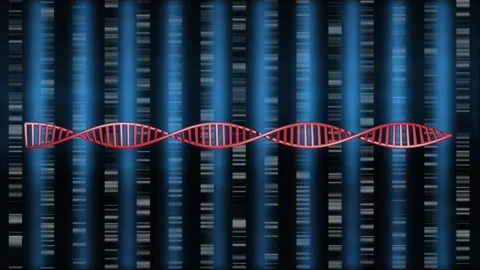 Rotating DNA molecule with DNA barcodes . 3d animation rendering Stock Footage 150807189