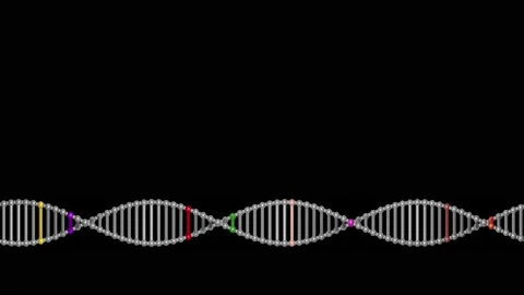 Rotating DNA molecule in lower thirds of screen . 3d animation rendering Stock Footage 139131325