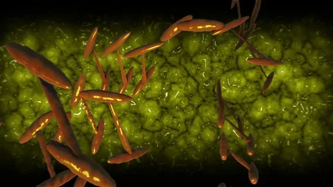 Rotating DNA with Organic Yellow Background Stock Footage 84585158